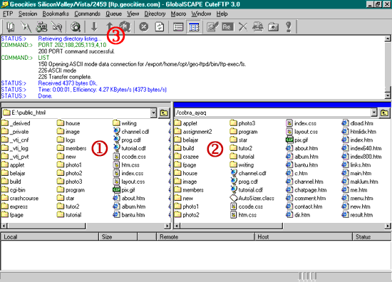 cuteftp.gif (24837 bytes)